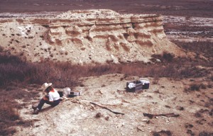 Fossil collecting in western Kansas. A partial mosasaur skeleton is visable in the middle foreground.