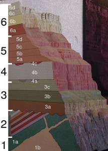 A cross section model of the Grand Canyon showing the rock layers and how they are broken into recognized formations.