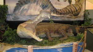 Restoration of Sarcosuchus, the SuperCroc