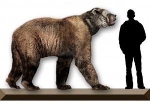 Recreation of the Giant Short-faced bear showing its size next to a human