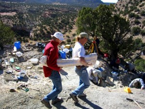 Plastered dinosaur bone being carried out of the LC Site