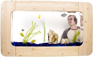 A wall aquarium, showing it being mounted directly in the wall.