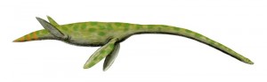 Long-necked plesiosaur Styxosaurus