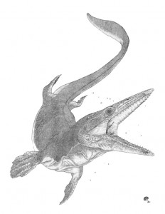 Mosasaur Tylosaurus