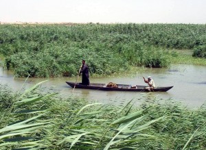 Marsh Arabs in a mashoof